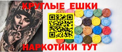 шишки Гай