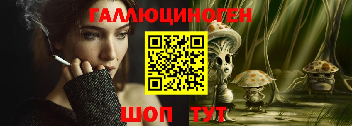 Галлюциногенные грибы Psilocybe Калуга