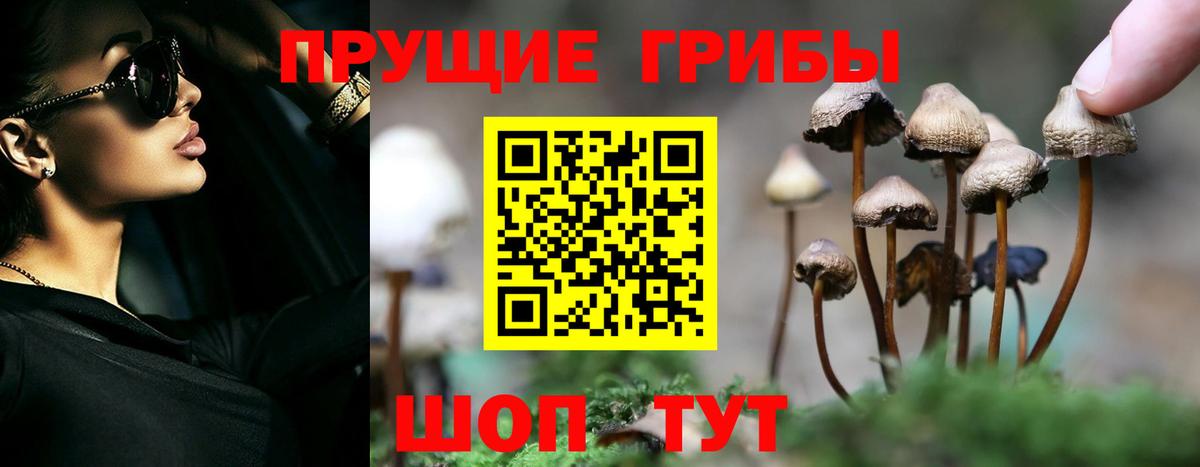 Калуга  Галлюциногенные грибы ЛСД  Псилоцибиновые грибы Psilocybine cubensis  Вход с VPN 